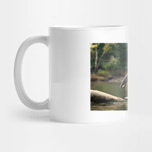 Grey Heron on Turtle Mug